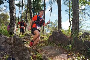 BIB: 5321
                            <button type="button" onclick="openModal(18915548)" class="btn btn-primary btn-sm float-right btn-popup" data-toggle="modal" data-target=".modal-high-quality">
                        <i class="fas fa-shopping-cart"></i> Add to Cart
                    </button>
                                            <button type="button" onclick="isThisMe(18915548, true)" class="btn btn-success btn-sm float-right btn-popup btn-isme hidden" data-toggle="tooltip" data-placement="bottom" title="นี่คือรูปของคุณใช่ไหม คลิกที่นี่เพื่อเอาเข้าอัลบั้ม">
                        <i class="fas fa-plus"></i> Add to album
                    </button>
                    <button type="button" onclick="isThisMe(18915548, false)" class="btn btn-warning btn-sm float-right btn-popup btn-isnotme hidden">
                        <i class="fas fa-ban"></i> Remove from album
                    </button>